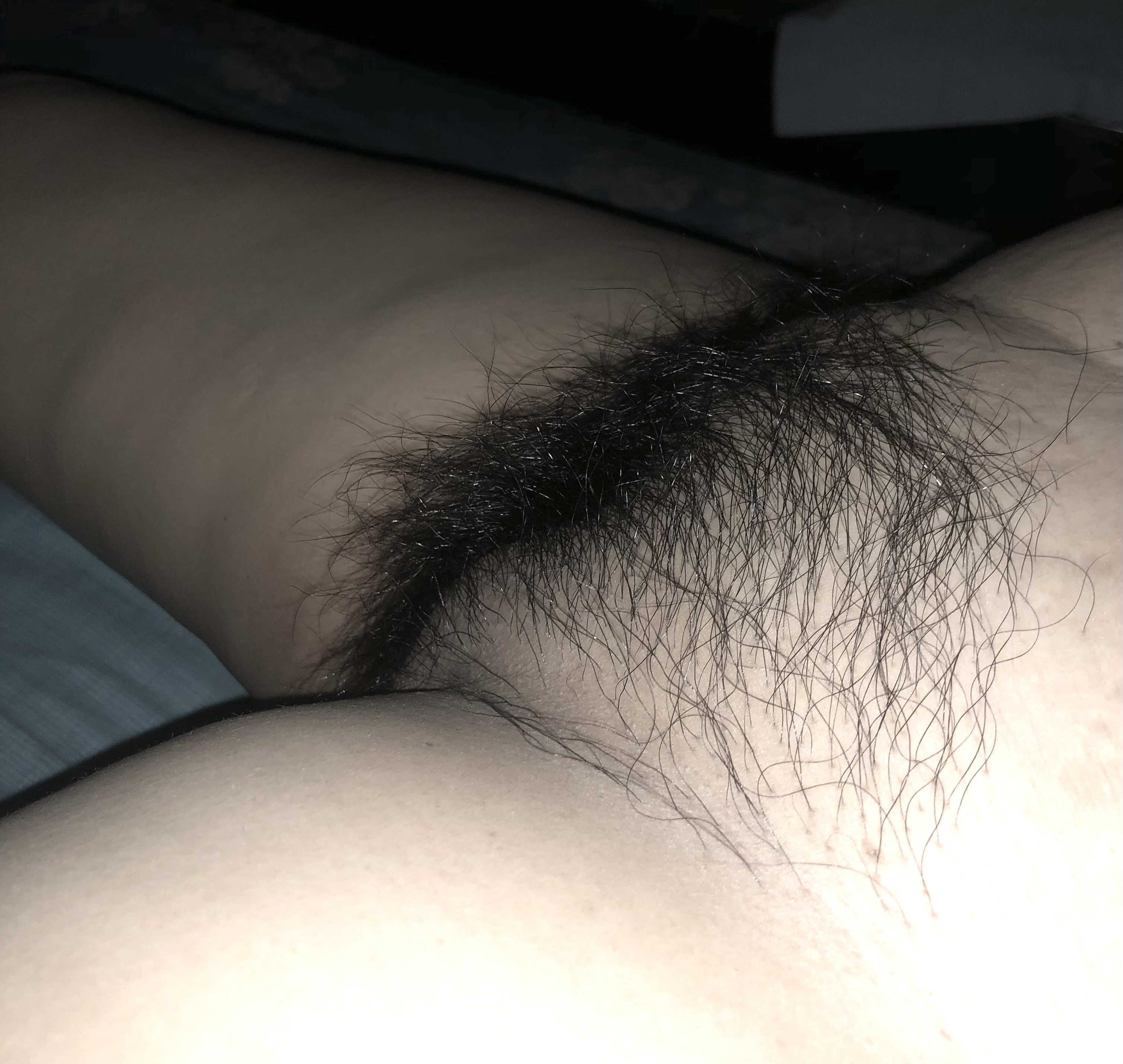 IMG_9256.jpeg