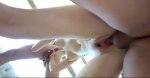 IMG_6293.jpeg