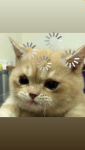 1FAFD4CC-7B59-46EF-9F16-87CC7F4EF089.png