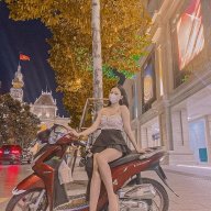 Thỏ Vivi