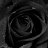 roseblack